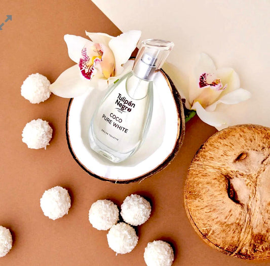 Tulipán Negro - Cocco Pure White